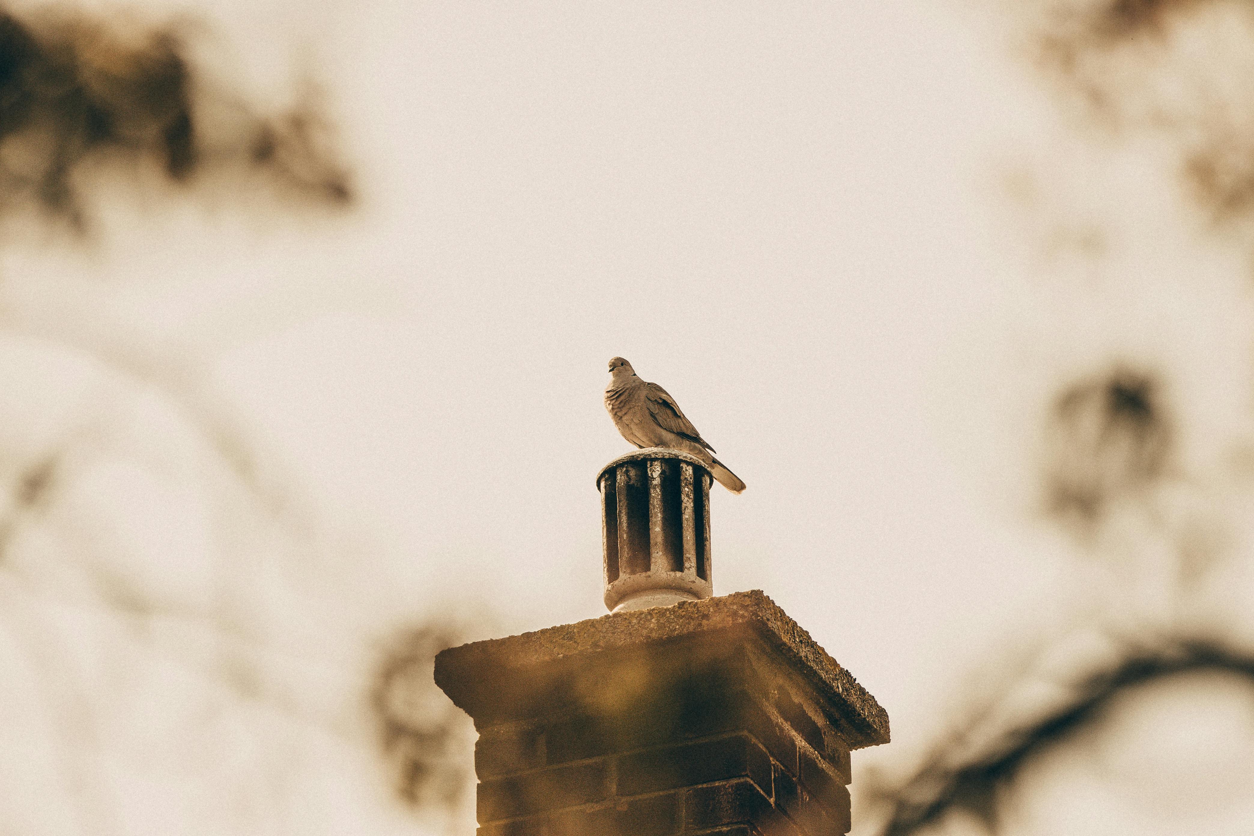 Expert Chimney Cap Installation in Lynn, Massachusetts